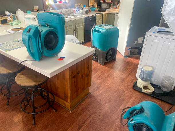 Best Water damage restoration process  in Tri Lakes, IN