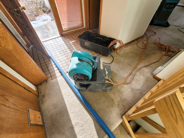 Best Flood restoration services  in Tri Lakes, IN